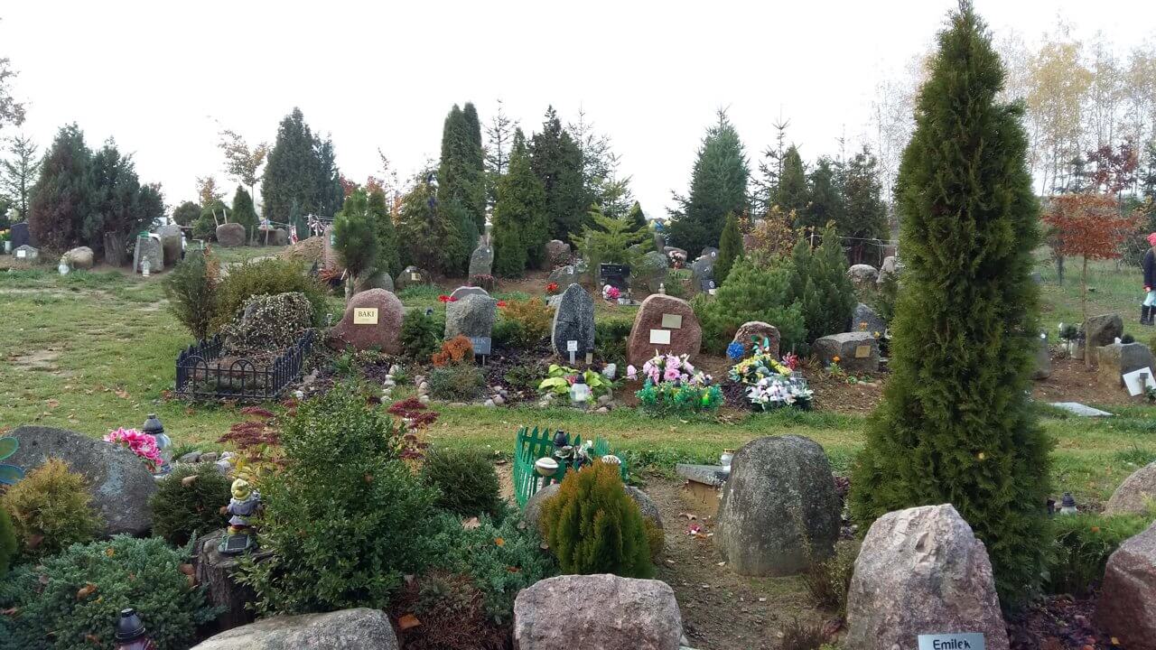 Brzozowa Przystań - cmentarz dla zwierząt.